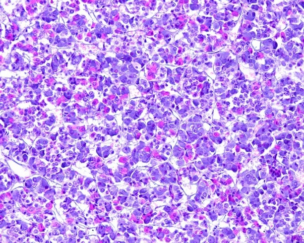 Sermorelin & GHRP-6: Research on Pituitary Stimulation