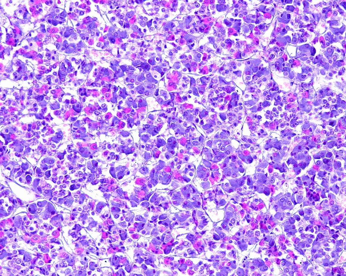 Sermorelin & GHRP-6: Research on Pituitary Stimulation